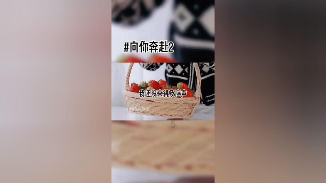 阿朵赵昭仪齐聚星月榜样盛典 陈数刘佩琦荣获大奖树立榜样