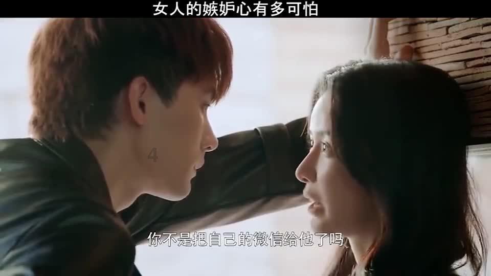 萌宠好又多