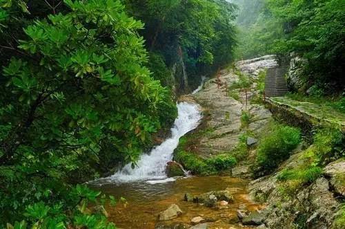 熊出没水果大陆2