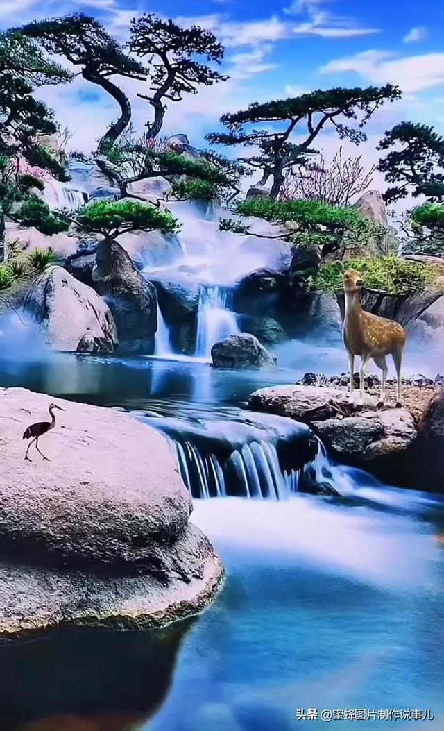 浪漫的雨季