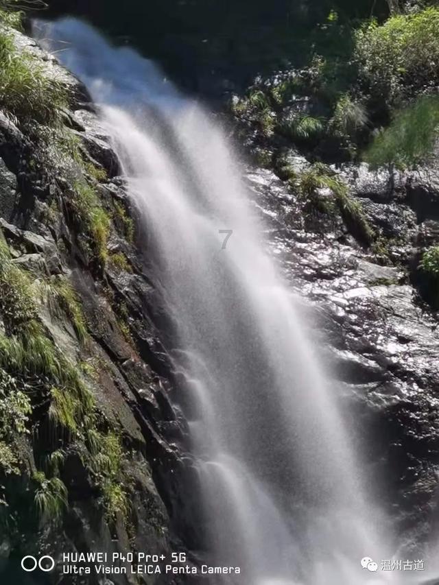 逃离荒凉之地