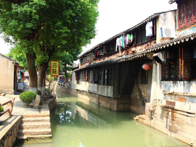 太岁是什么生物