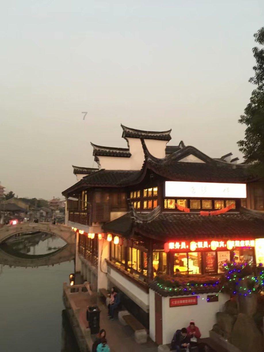逃离仿真森林