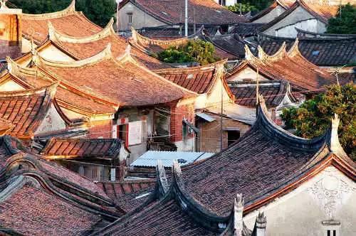 拯救精灵的土地10