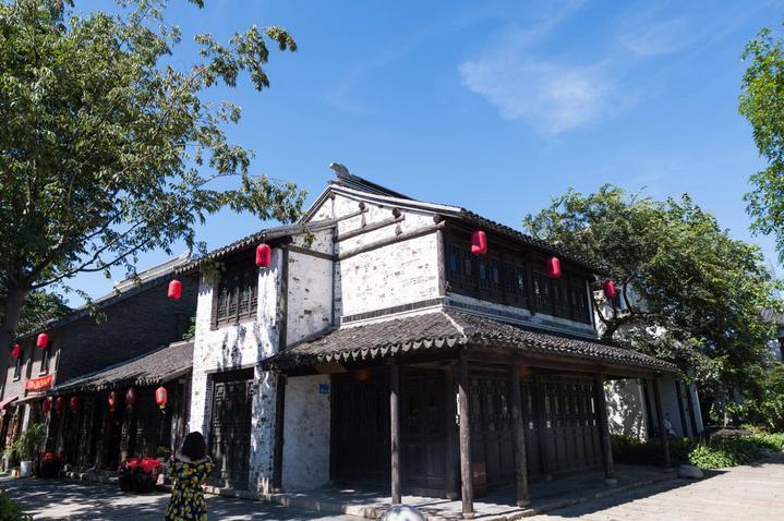 救援小孔雀